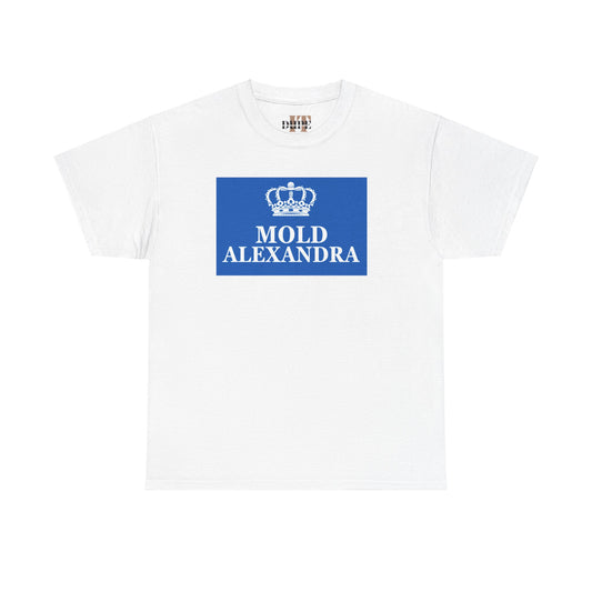 Dupe It Mold Alexandra FC x Offender Inspired Tee